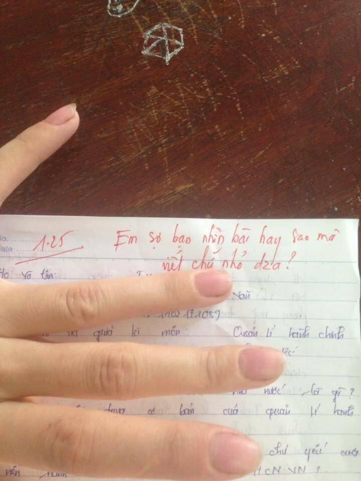 loi-phe-1