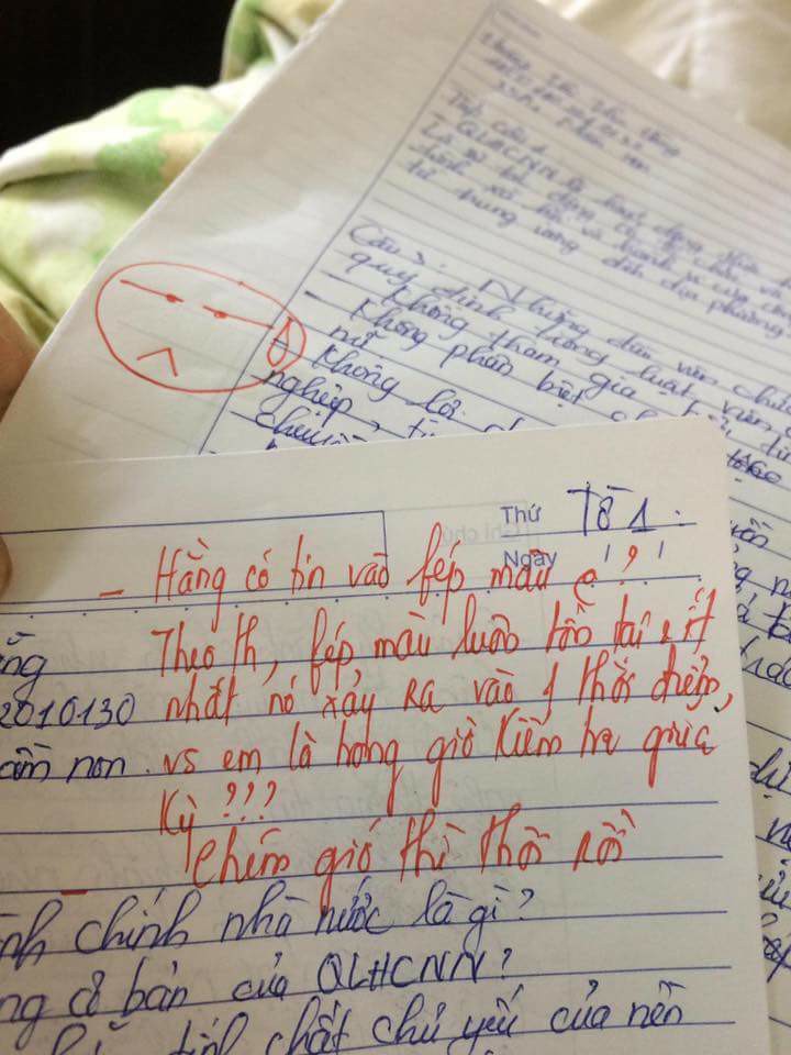loi-phe-13