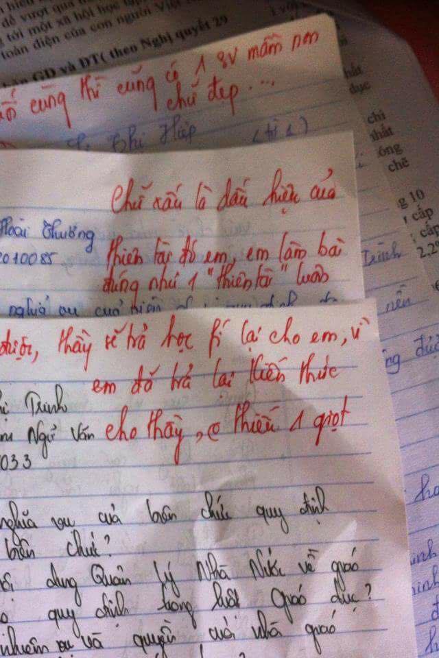 loi-phe-9