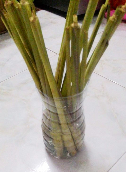 trong-sa-5