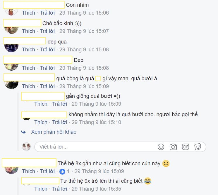 tet-trung-thu-4