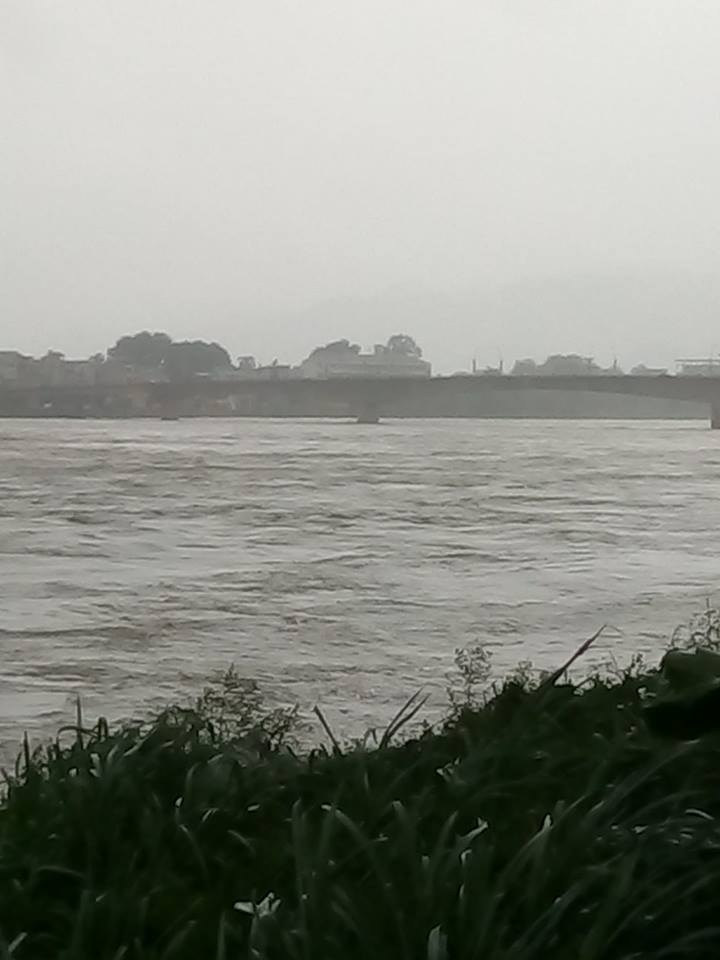hoa-binh-1