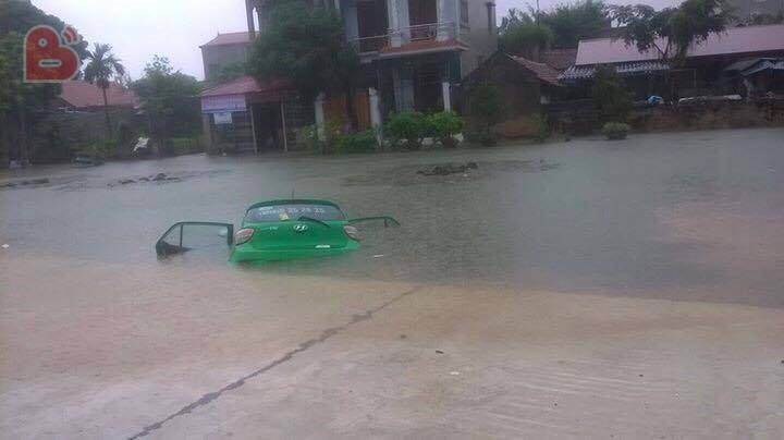 hoa-binh-3