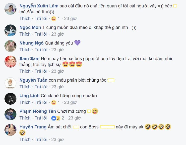 meo-cuop-chong-2
