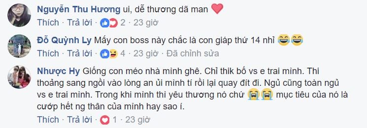 meo-cuop-chong-3