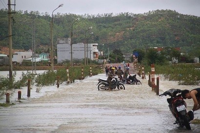 lu-o-binh-dinh-2