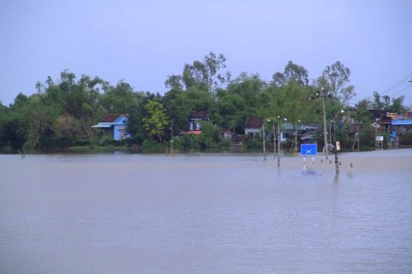 lu-o-binh-dinh-4
