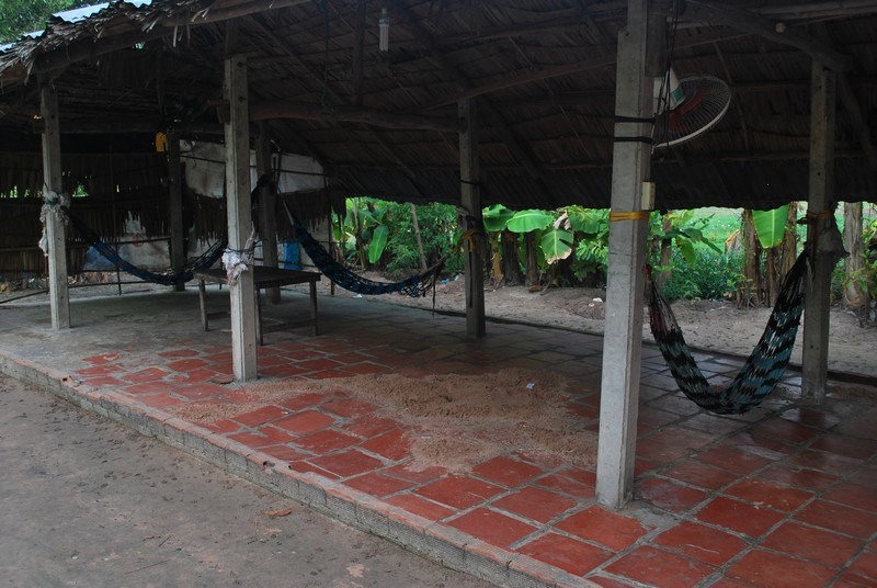 giet-vo-roi-tu-sat-1