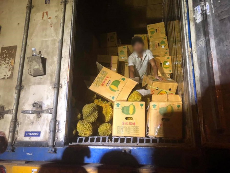 Người tài xế bên cạnh container sầu riêng hôm 25/5