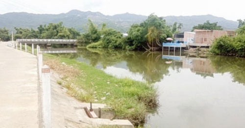 Hiện trường vụ việc