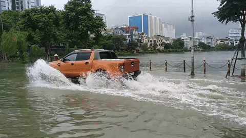 Cảnh tượng này chắc chắn là 1 