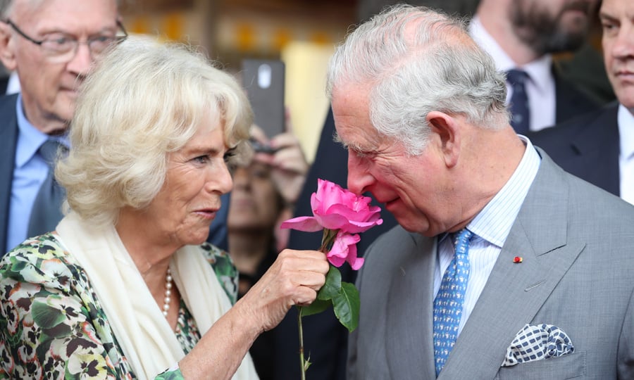 Và sự thật thực sự chứng minh, Thái tử Charles và bà Camilla đã có một Shbet16 chơi game trực tuyến hạnh phúc sau 13 năm hứng đầy chỉ trích