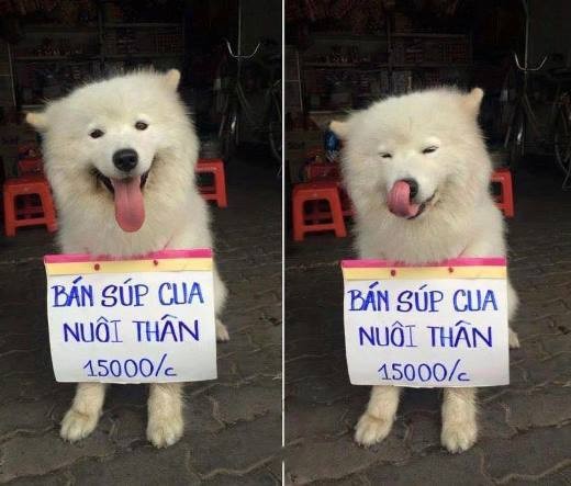 Vô làm chén súp cua ủng hộ con đi cô chú