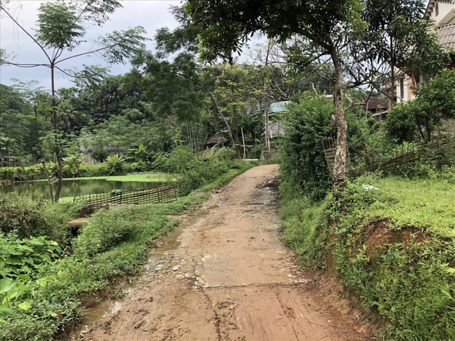 Con đường vào nhà cụ C.