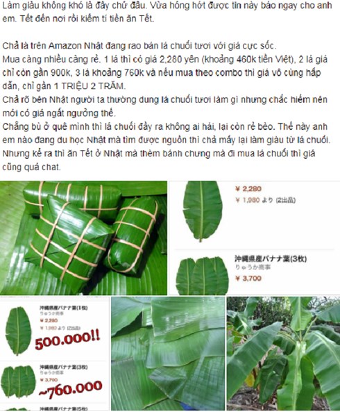 la chuoi viet nam