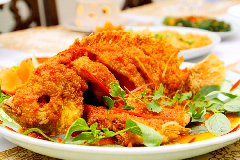 ca-dieu-hong-chien-xu