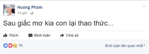 hoa hau pham huong (2)