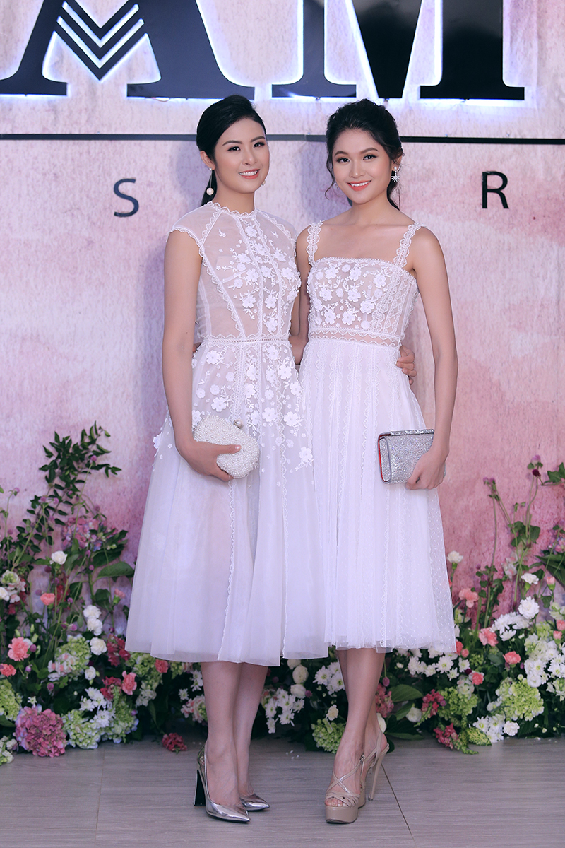 a hau thuy dung