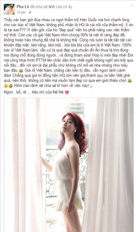 pha le phau thuat tham my (2)