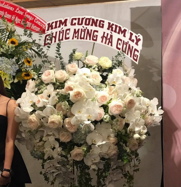 ho ngoc ha kim ly (6)