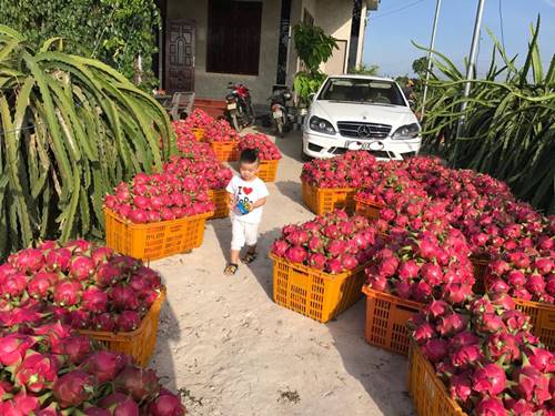 vy oanh (2)