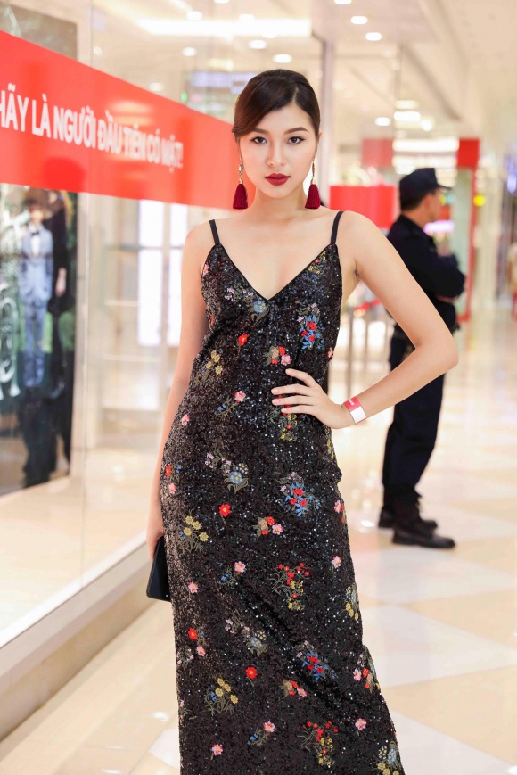 dong anh quynh
