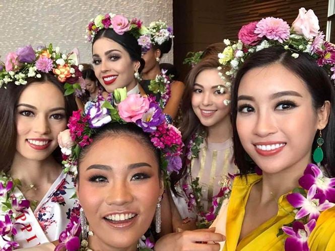 hoa hau do my linh tai mi