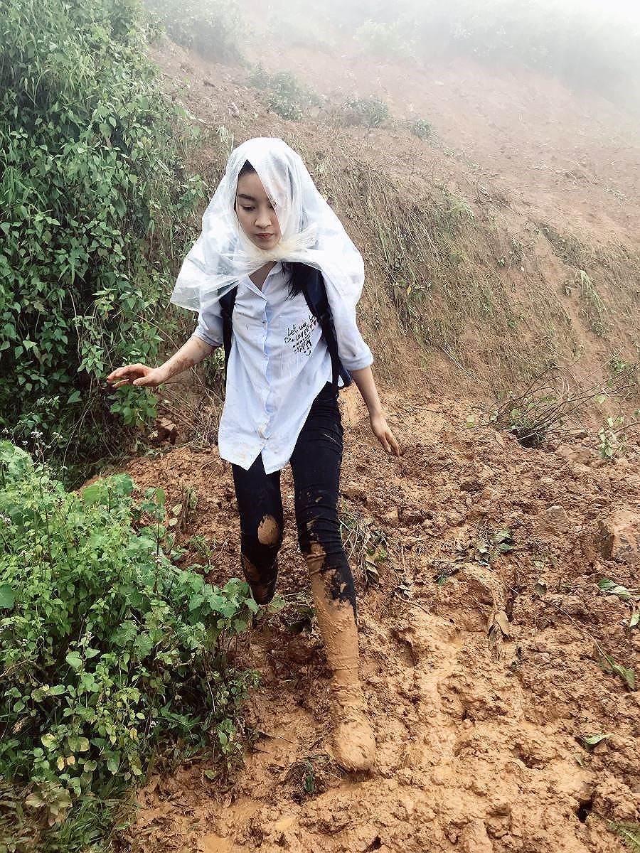 hoa hau do my linh tai mi