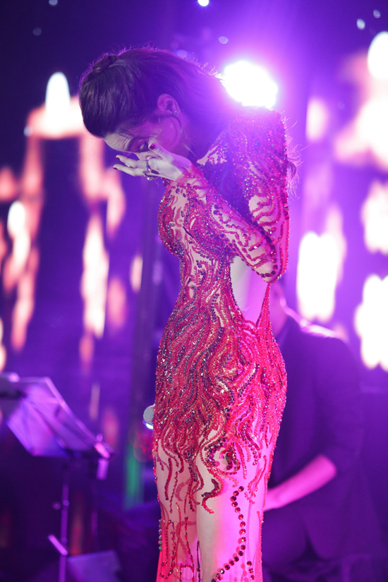 ho ngoc ha (2)