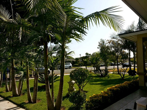 tai san quang le (2)