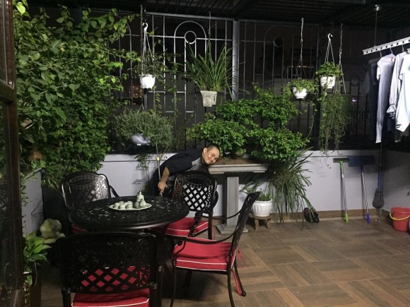 khoi tai san cua nghe si hai xuan hinh (8)