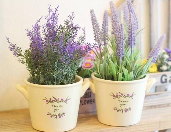 1711665chau_lavender_thank_you4_3514479