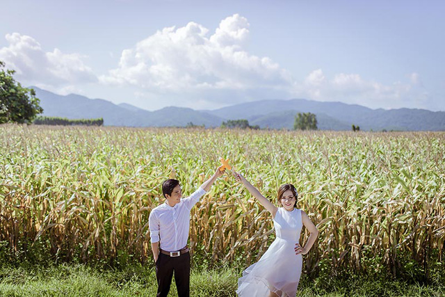 canh-dong-ngo11-1503243034061