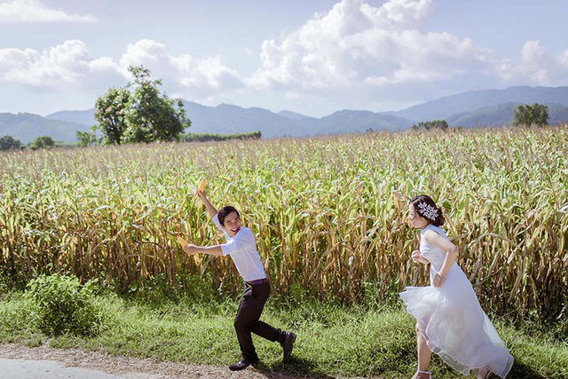 canh-dong-ngo8-1503243034053