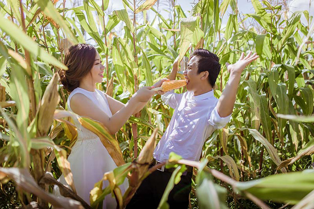 canh-dong-ngo9-1503243034055