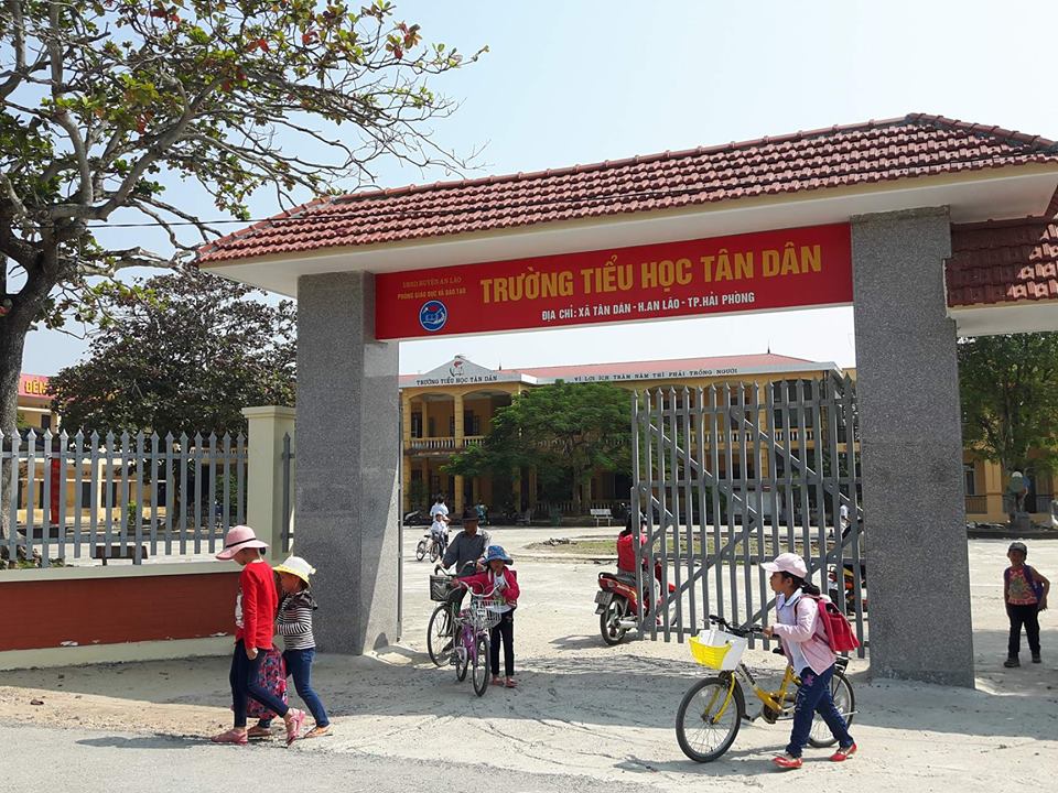 truong-tieu-hoc-tan-dan