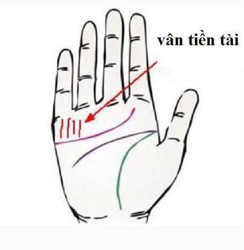 van-tien-tai-nhieu