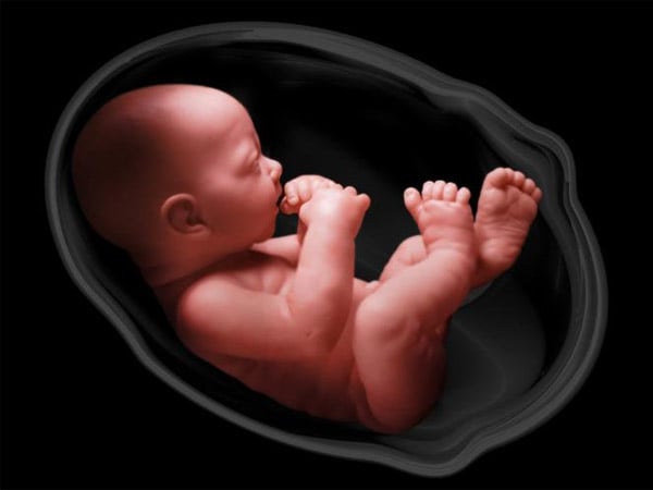 Mẹ bắt đầu cảm nhận được thai khẽ máy và chuyển động từ khoảng tuần thứ 16 