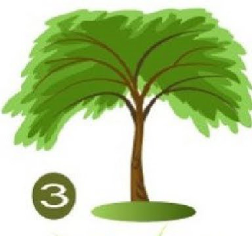 1aaaa