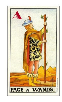 1T