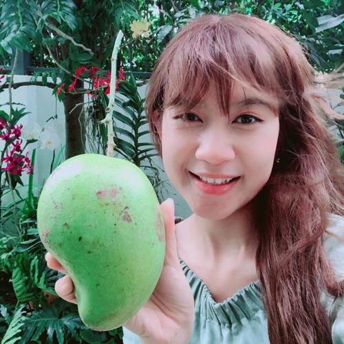 Lần đầu nếm thử quả xoài từ cây xoài Tứ Quý, Minh Hà thất vọng. Quả xoài khi ấy non, rất chua, không thể ăn được. Lý Hải dự định chặt cây này lấy chỗ trồng loại cây khác nhưng không ngờ một thời gian sau xoài chín, quả to và ngọt lịm.    