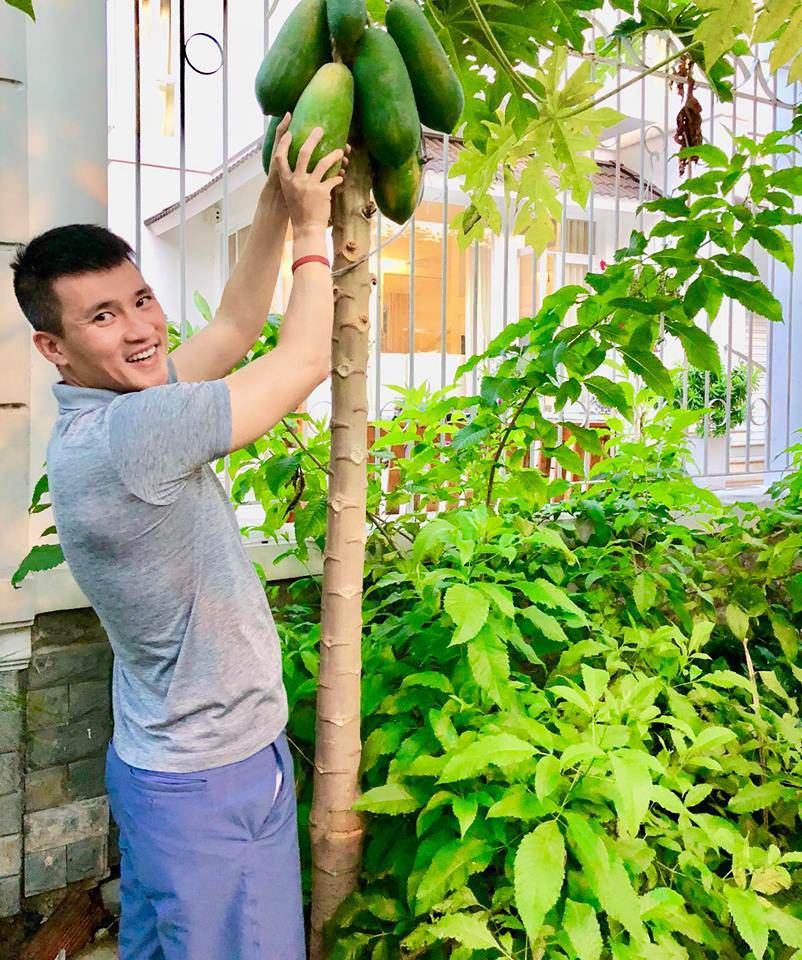 Ngoài vườn rau trái trồng bên trong sân biệt thự, cặp đôi nổi tiếng còn tận dụng khoảng đất phía trước nhà để trồng thêm cây cảnh, các loại cây ăn quả và rau sạch.    