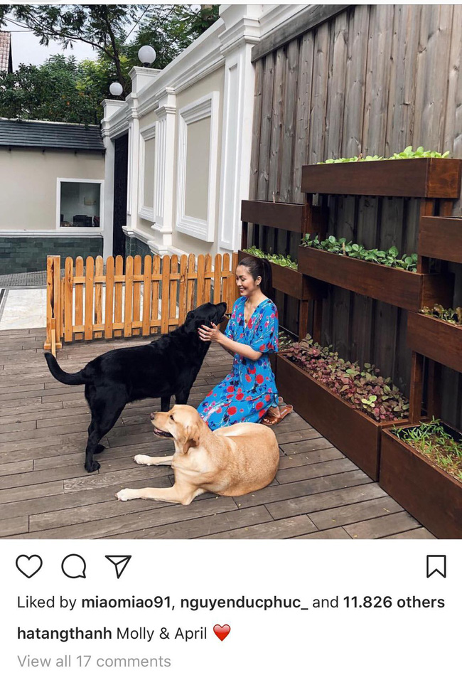 Mới đăng ảnh chưa tròn 1 giờ mà đã có tới hơn 11 ngàn người like ảnh của Hà Tăng rồi. Lần nào đăng ảnh trên trang cá nhân, Hà Tăng đều khiến dân tình dậy sóng thế này đây.    