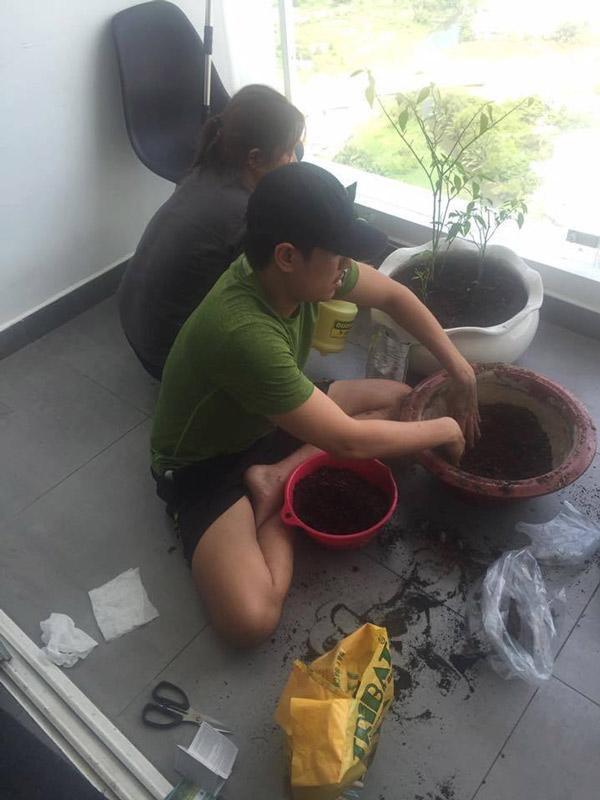 Phía bên ngoài ban công được tự tay Kiều Minh Tuấn trồng cây trang trí.    