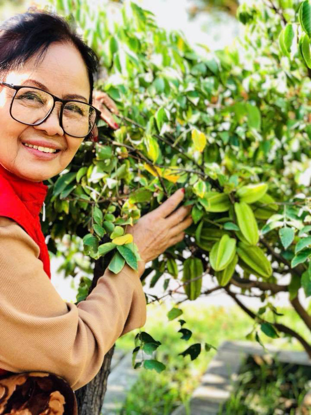 Khu vườn lúc lỉu cây trái với rất nhiều những loại quả thuần Việt như: khế, ổi, bưởi, táo,…  