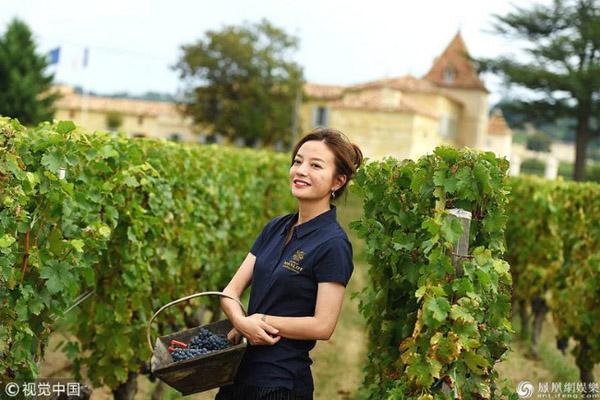 Triệu Vy tươi tắn trong vườn nho.    