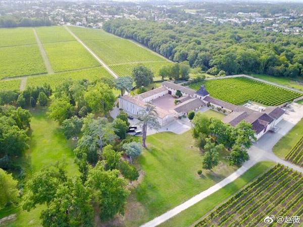 Trang trại sản xuất rượu vang của vợ chồng Triệu Vy ở Pháp có tên là Château Monlot. Được biệt, khu trang trại vô cùng rộng lớn này có lịch sử hơn 400 năm bao gồm khu biệt thự cổ, vườn nho, xưởng sản xuất rượu thủ công, hầm rượu. Khuôn viên nơi đây ngập tràn cây cối xanh mướt, không khí trong lành.        