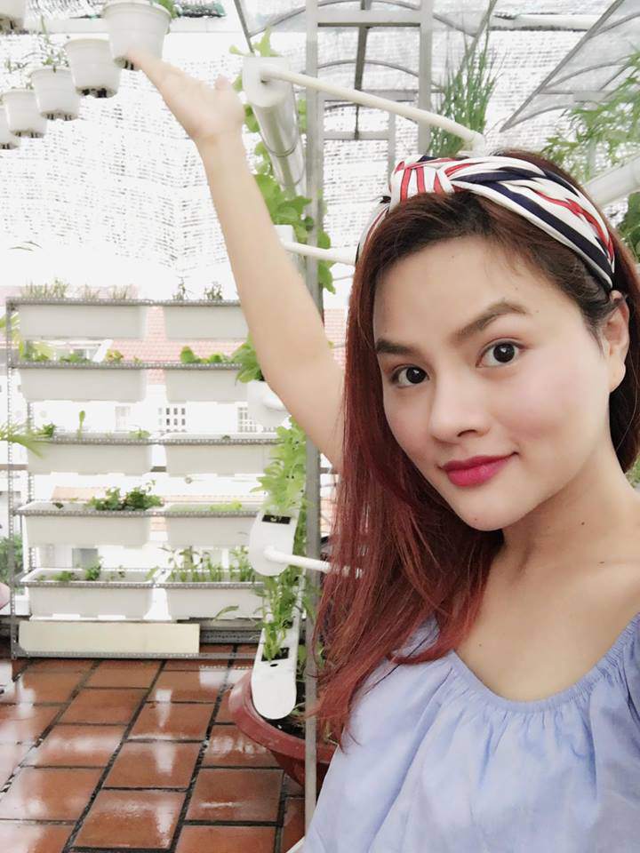 Rau được trồng trên các giàn thủy canh, trong chậu đất và cả chậu treo bên trên.    