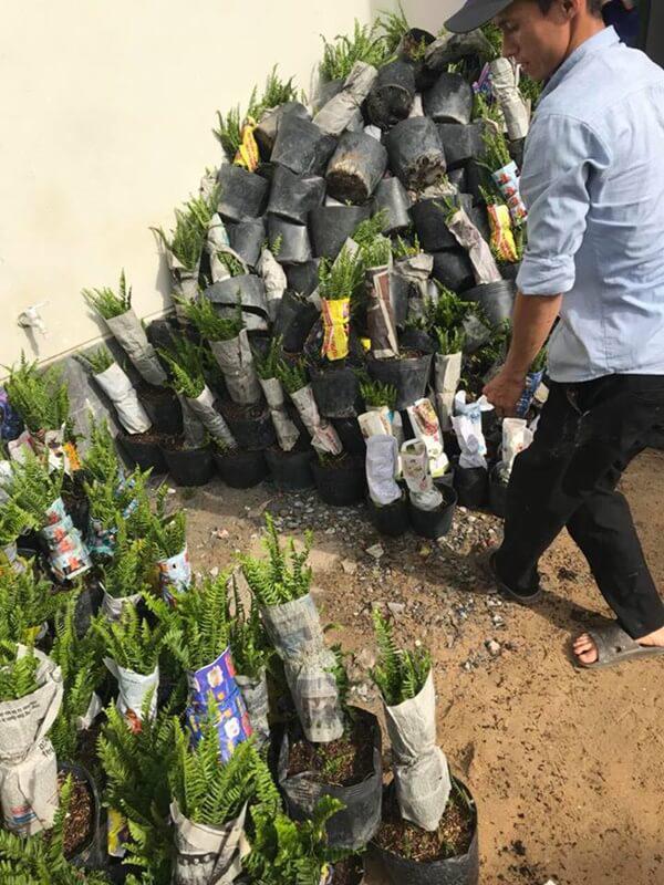 Cô cho hay cô căn nhà này sẽ là không gian ngập cây xanh và cá cảnh.    