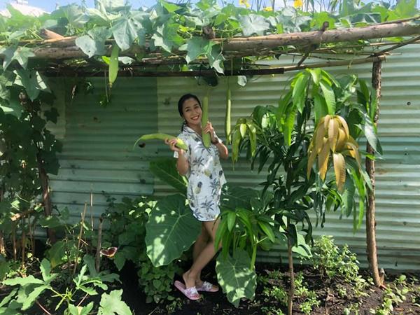 Trong vườn có mướp. xoài, dọc mùng, cà, rau thơm...    
